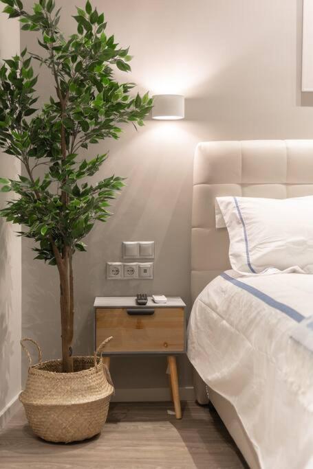 A11 Pristine & Comfy Studio Near Plaka & Parthenon 아테네 외부 사진